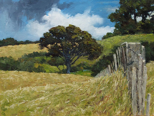 Paul Hooker NZ fine art, Waikato, oil on canvas